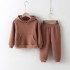 New Custom Kids Sweatsuit Sets Wholesale Fall Long Sleeve Cotton Kid Two Piece Sweatshirt And Jogger Set New Fashion