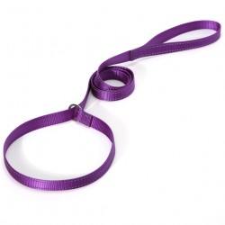 Custom Anti-Theft Adjustable Braided Nylon P Chain Slip Dog Show Leads Reflective Training Leash Pets Cats Direct Manufacturer