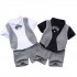 Casual Boys' Clothing Sets - Customizable ODM Summer Shirts and Shorts Kids' Wear