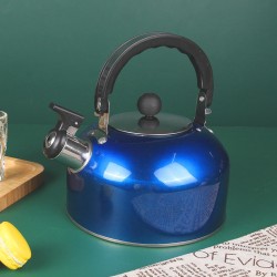 BMA factory wholesale whistle kettle paint blue red silver green stainless steel water kettle