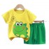 Premium Casual Cotton Summer Sets for Boys and Girls