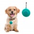 Led Light Anti-Lost Outdoor Dog Walking Pendant Pet Accessories Collar Pendant