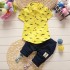 Export high quality cotton 2 piece baby boys set clothes clothing set