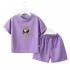 High Quality Kids summer clothes Two Piece Set Wholesale Boys Short Sleeve Cotton Cloth Baby Girls Clothing