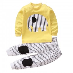 High Quality Wholesale Kids Clothing Sets e Fashion Long Sleeve Unisex Cotton Baby Cloths Sets New Born Infant 2pcs Suit