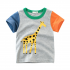 Wholesale Cotton Casual Boys' Children's Summer Clothing Set - Short Sleeves T-Shirts and Shorts